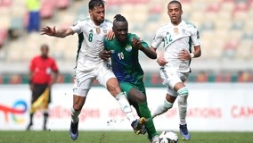 聚与原创升 聚与原创升